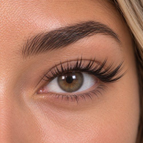 Nahaufnahme von Midnight Kiss an einem Auge
