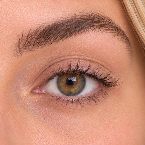 Nahaufnahme von Morning Mist an einem Auge