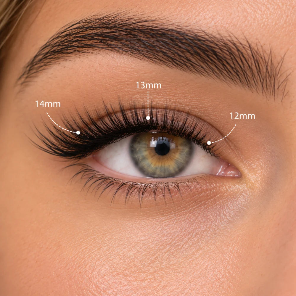 Close-up van Midnight Kiss met lengtes 12, 13 en 14 mm